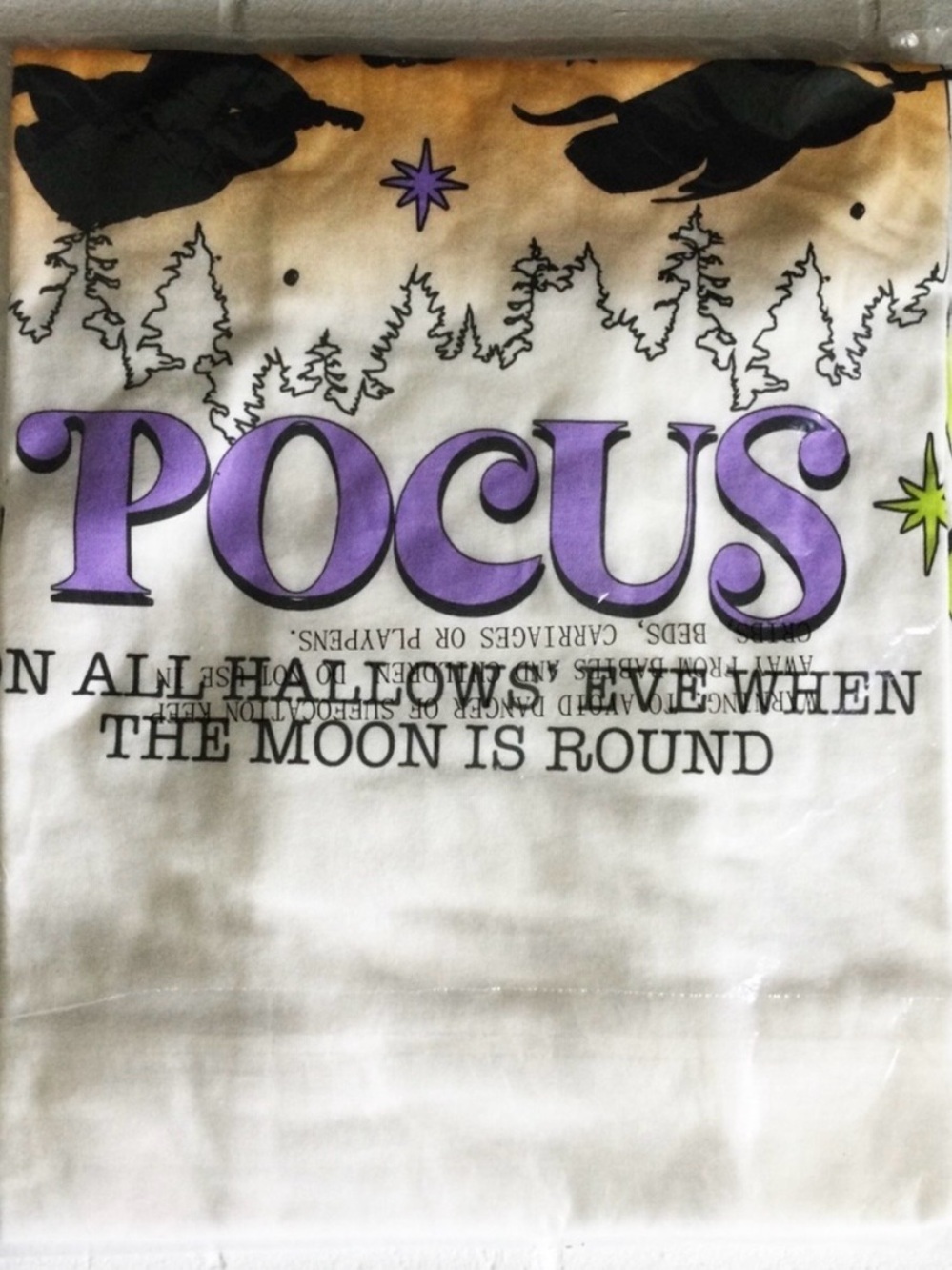 DISNEY Hocus Pocus Sanderson Sisters Tee – Plus Size 2X – NWT - Picture 5 of 9